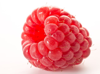 Framboises © PhotoKD