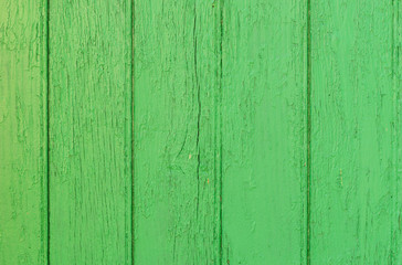 Grüne Bretter Wand Latten Dielen Planken