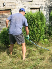 Летние заботы