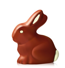 Chocolate bunny on white background.