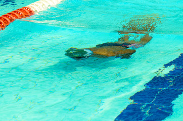 Fototapeta na wymiar Young boy swimming