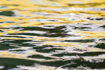 abstract surface of the water