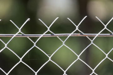 Fototapeta premium Background of the metal mesh on the nature