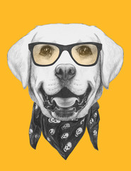 Portrait of Labrador with glasses and scarf. Hand drawn illustration.