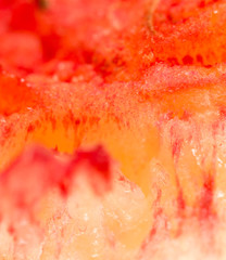 juicy peach flesh as a background. close