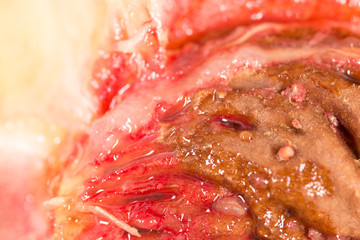 Bone of peach. close