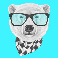 Portrait of Polar Bear with glasses and scarf. Hand drawn illustration.