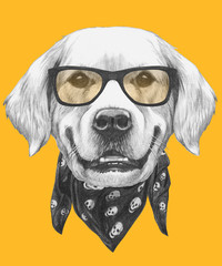Portrait of Golden Retriever with glasses and scarf. Hand drawn illustration.