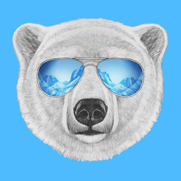 Portrait of Polar Bear with mirror sunglasses. Hand drawn illustration.