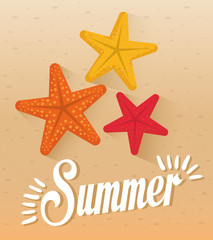Fototapeta na wymiar icons of summer 