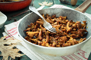 Fried Chanterelles with onions and fresh herbs in skillet