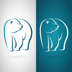 Vector image of an bear design on white background and blue back