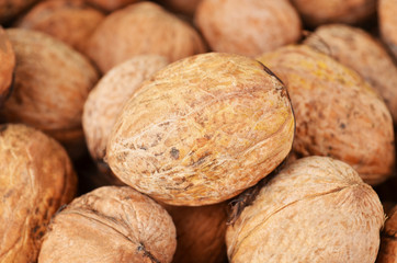 Ripe walnut (Juglans regia), close up, DOF