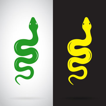 Vector image of an snake on white background and black backgroun