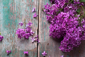 Background with splendid lilac flowers