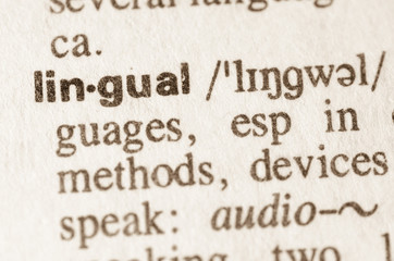 Dictionary definition of word lingual