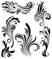 Fototapeta premium Floral Lines