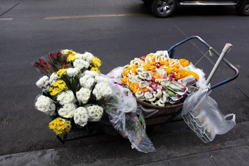 南国の花屋
