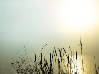 beautiful morning fog over a lake