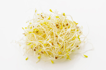 tender alfalfa sprouts on white base