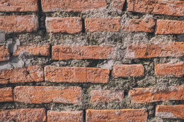 Photo red brick wall And a beautiful profile.