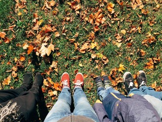 Familie von vier Personen im Herbst in der Natur, persönliche Perspektive von oben