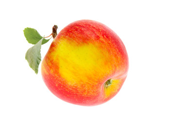 one apple with a leaf on a white background