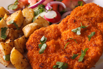 Wiener schnitzel, salad and fried potatoes close-up. horizontal
