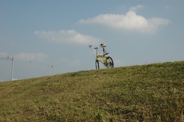 サイクリングロード