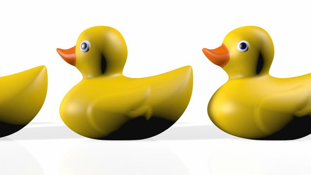 A slow pan down a row of organised and ready yellow rubber bath duck toys on an isolated white background