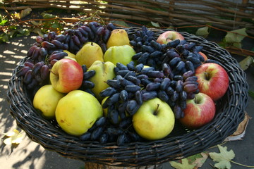 виноград, яблоки и айва в корзине.