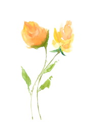 Obraz premium Modern art of flower, wttercolor illustrator