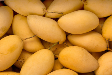 A lot of mango, Pattern.
