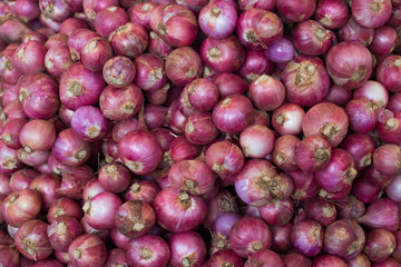 A lot of shallot, Pattern.