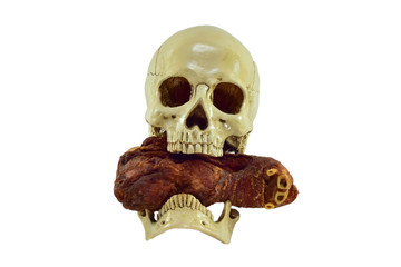  Human skull and pork on white background