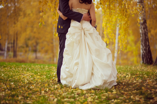 wedding. husband and wife embrace. Golden autumn