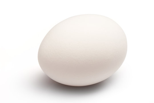 Single white chicken egg isolated on white background. Clipping path included