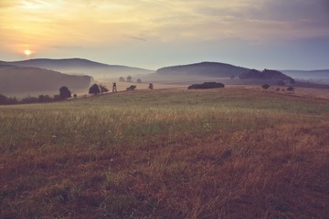 Obraz premium Beautiful sunrise over misty meadow