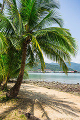 Beautiful tropical beach at island Koh Chang