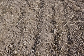 Plowed soil