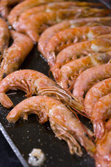 Shrimp on the grill