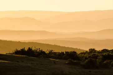 Obraz premium Panorama, tramonto, Addo Elephants Park - Sudafrica