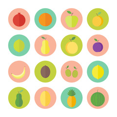 Flat vector circular icons for web design fruits and berries