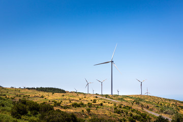 Windmills in the valley