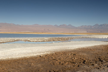 Cejas lagoon, Atacama desert, Chile