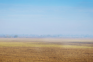 Autumn colors on the field