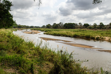 Olifants, Kruger Park - Sudafrica
