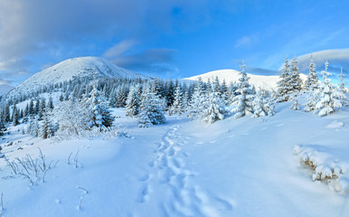 Morning winter mountain panorama.