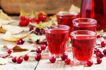 Autumn cranberry cocktail on the old wooden background, selectiv