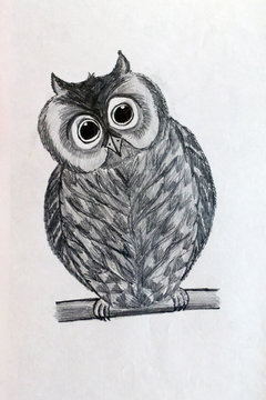 picture of an owl